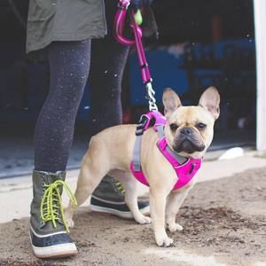 Meet your Posher, Caryn